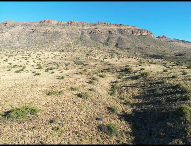 1,076HA FARM FOR SALE IN MIDDELBURG RURAL